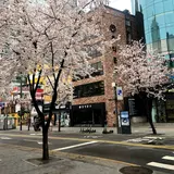新村駅/シンチョン駅/신촌역