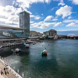 Darling Harbour（ダーリングハーバー）