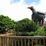 ヤンバルクイナ展望台