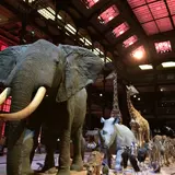 Muséum national d'Histoire naturelle（国立自然史博物館）