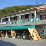 道の駅おおぎみ