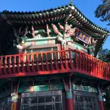 冬栢島(冬栢公園)/トンベッソム(トンベッコンウォン)/동백섬(동백공원)