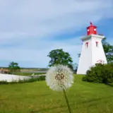ビクトリア