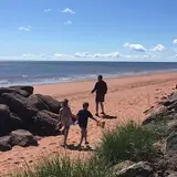 アングロ・ティニッシュ
