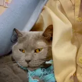 つくばわんわんランド