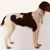 ノルウェー