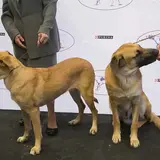アラスカ州