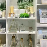 west elm