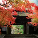 定勝寺
