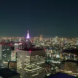 新宿都庁南展望台