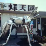 蜂天国
