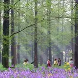 東平国家森林公園