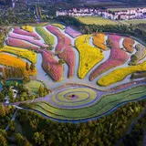 花开海上生态园