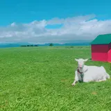 レークヒル・ファーム