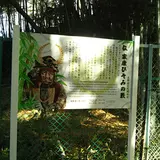 徳川家康の伊賀越え 伝家康ひそみの藪