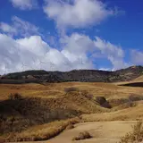 稲取細野高原