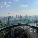 ビーナスブリッジ