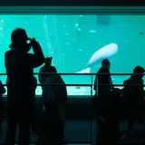 鳥羽水族館