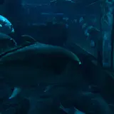 伊勢シーパラダイス