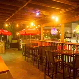 グリーン リザード