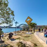 Barangaroo Reserve