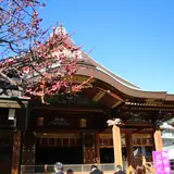 湯島天満宮（湯島天神）