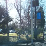 東綾瀬公園