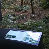 大手町の森