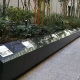 箱根駅伝 スタートライン
