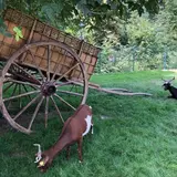 アクリマタシオン庭園