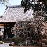 宝戒寺