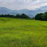 柳ヶ平散策路展望台