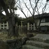栂山城 (西山城) 跡