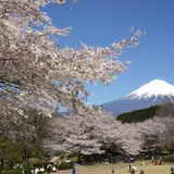 岩本山公園
