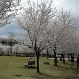 城山公園立体無料駐車場