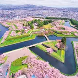 五稜郭