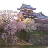 郡山城