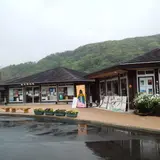 「道の駅」下賀茂温泉　湯の花