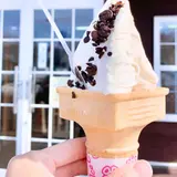 リスの森