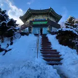 1100番道路展望台
