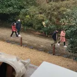 제주커피박물관 Baum
