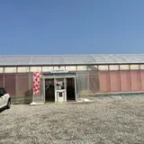 Strawberry Port Ichigonomi
