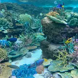 名古屋港水族館