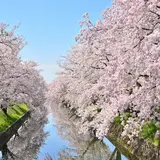 五条川