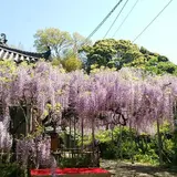 太江寺