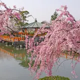 九華公園
