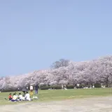 宮川堤