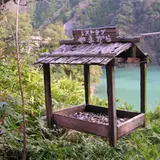 野猿