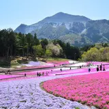 羊山公園