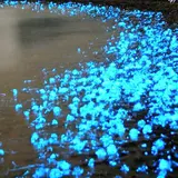 魚津おさかなランド